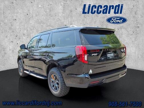 AGATE BLACK METALLIC 2025 Ford Expedition TREMOR