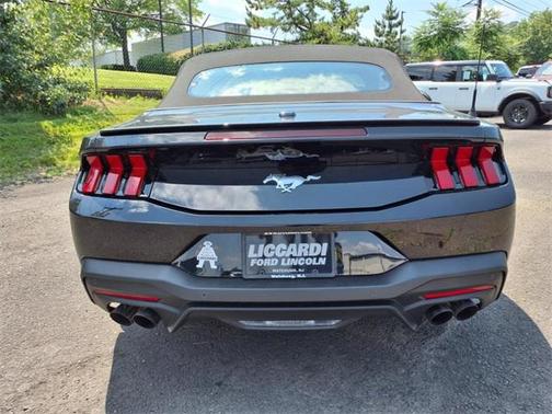 2025 Ford Mustang EcoBoost Premium
