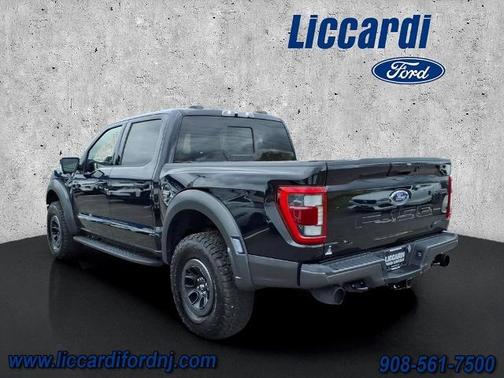 AGATE BLACK METALLIC 2023 Ford F-150 RAPTOR