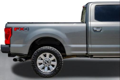 SILVER SPRUCE 2019 Ford F-250 Platinum