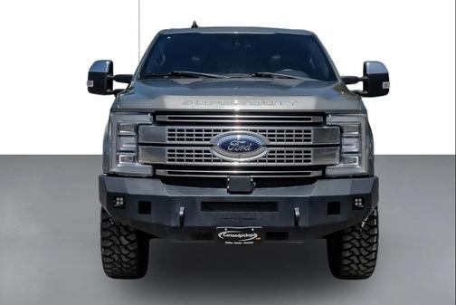 SILVER SPRUCE 2019 Ford F-250 Platinum