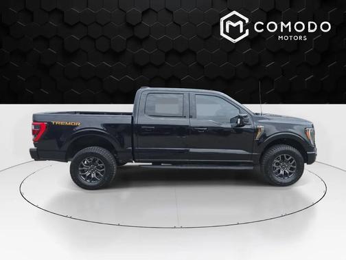 Agate Black Metallic 2023 Ford F-150 Tremor