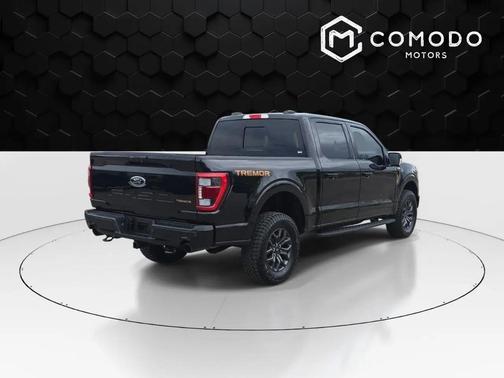 Agate Black Metallic 2023 Ford F-150 Tremor