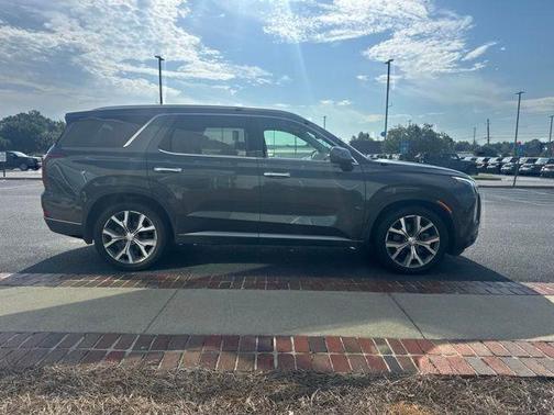 Rainforest 2022 Hyundai PALISADE SEL
