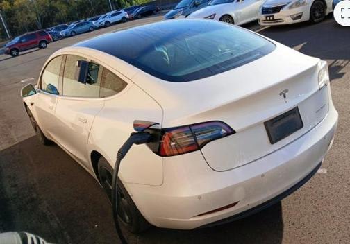 2019 Tesla Model 3 Standard Range