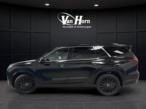 Abyss Black Pearl 2025 Hyundai PALISADE Calligraphy Night Edition