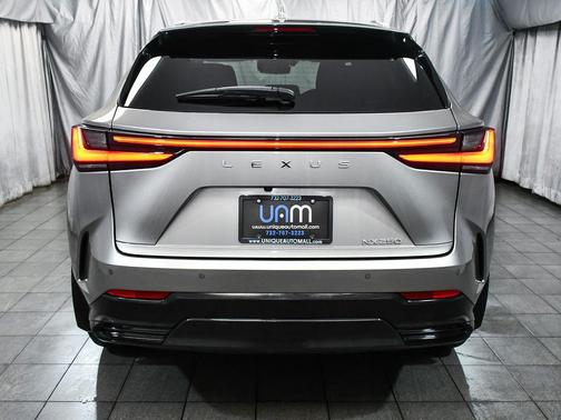 2024 Lexus NX 250 Premium