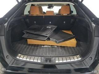 2023 Lexus RZ 450e Luxury