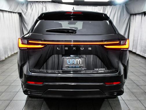 2024 Lexus NX 250 Base