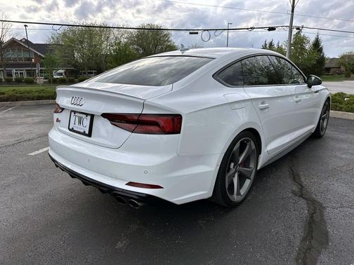 Ibis White 2019 Audi S5 3.0T Prestige