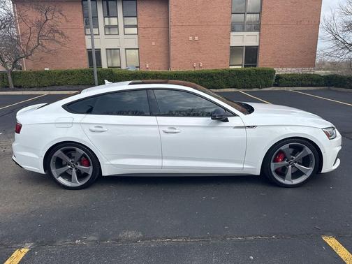 Ibis White 2019 Audi S5 3.0T Prestige