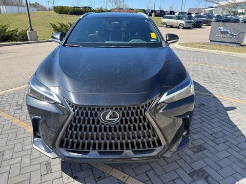 2024 Lexus NX 350h AWD