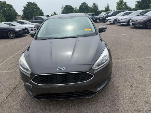 Magnetic 2016 Ford Focus SE