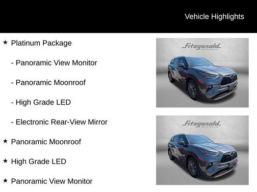 Magnetic Gray Metallic 2020 Toyota Highlander Platinum