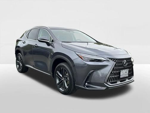 Cloudburst Gray 2025 Lexus NX 450h+ Luxury