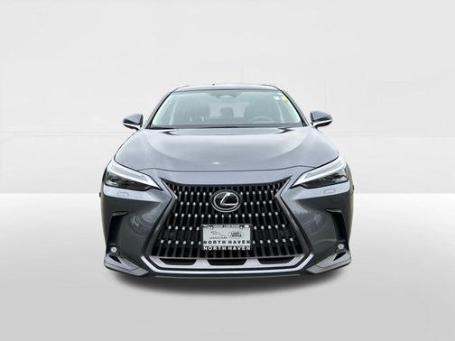 Cloudburst Gray 2025 Lexus NX 450h+ Luxury