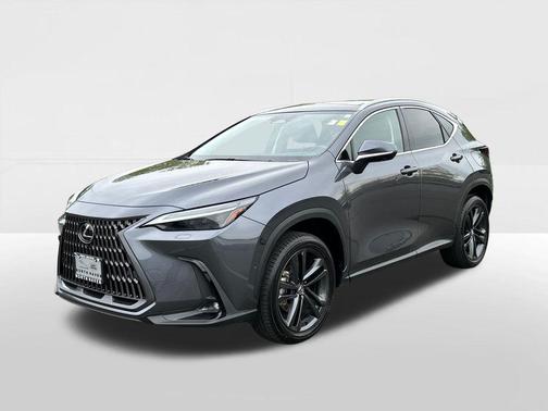 Cloudburst Gray 2025 Lexus NX 450h+ Luxury
