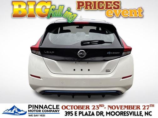 2020 Nissan Leaf SV PLUS 62 kWh