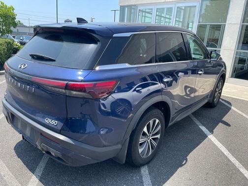 Grand Blue 2023 INFINITI QX60 Pure