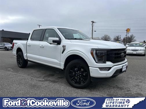 2023 Ford F-150 Platinum