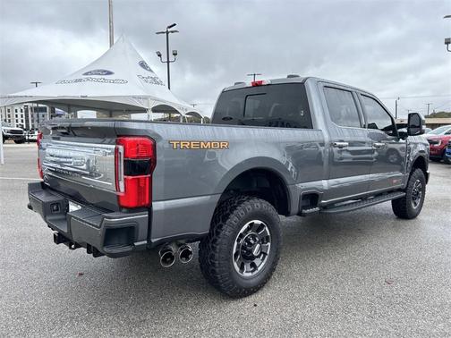 2024 Ford F-250 Platinum