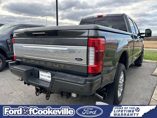 2019 Ford F-250 Platinum