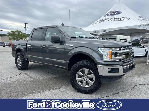 Magnetic 2019 Ford F-150 XLT