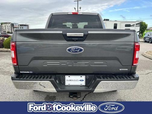 Magnetic 2019 Ford F-150 XLT
