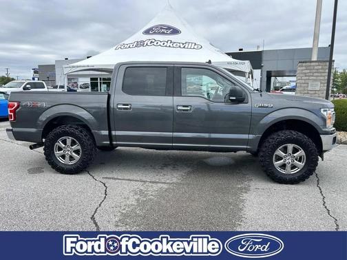 Magnetic 2019 Ford F-150 XLT