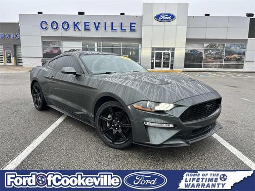 2019 Ford Mustang EcoBoost