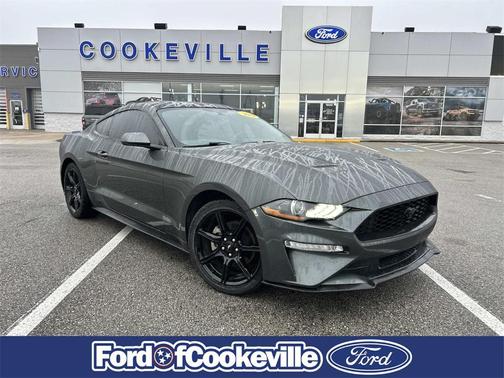 2019 Ford Mustang EcoBoost