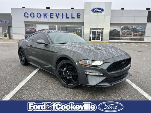 2019 Ford Mustang EcoBoost