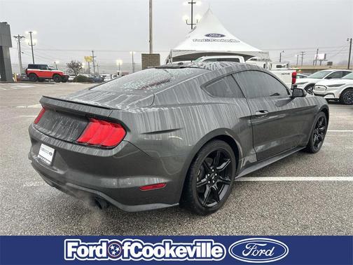 2019 Ford Mustang EcoBoost