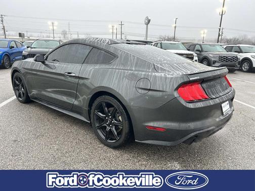 2019 Ford Mustang EcoBoost