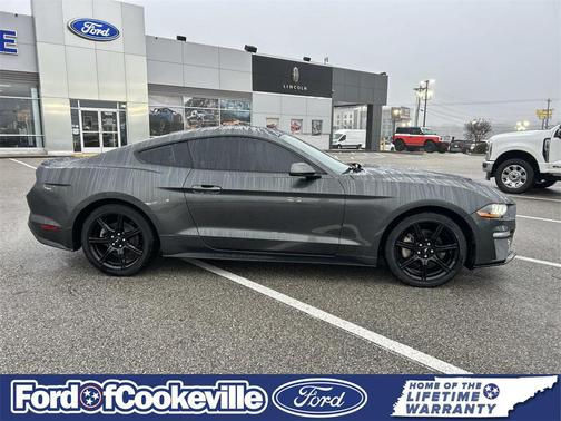 2019 Ford Mustang EcoBoost