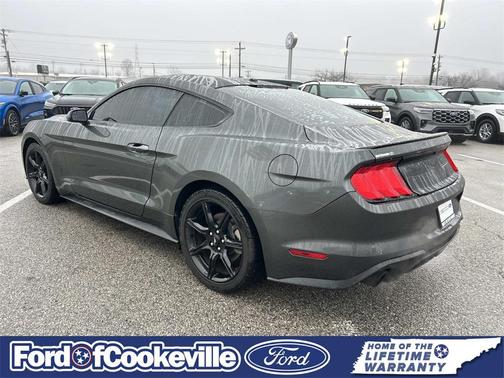 2019 Ford Mustang EcoBoost