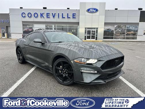 2019 Ford Mustang EcoBoost