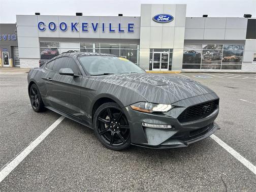 2019 Ford Mustang EcoBoost