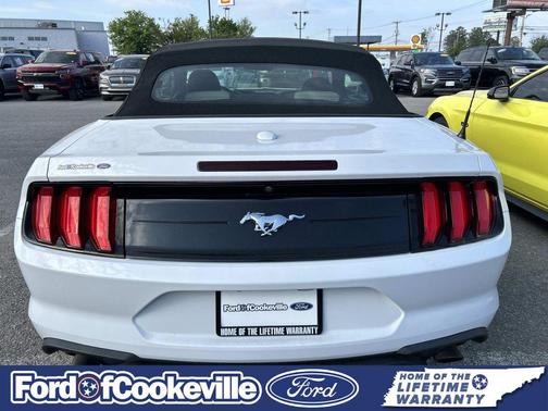 2020 Ford Mustang EcoBoost