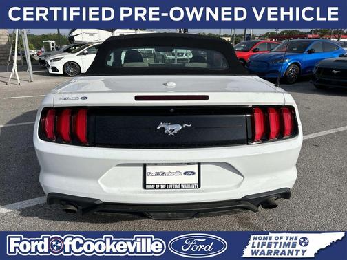 Oxford White 2020 Ford Mustang EcoBoost
