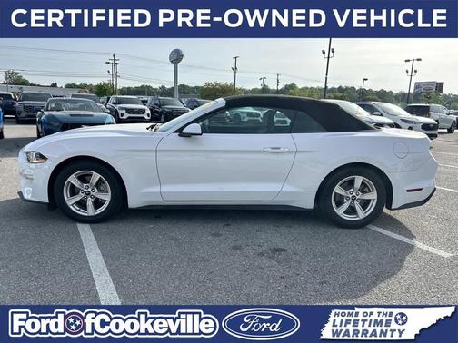 Oxford White 2020 Ford Mustang EcoBoost
