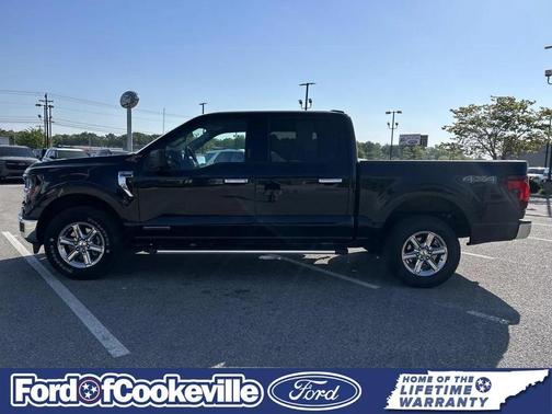 Agate Black Metallic 2024 Ford F-150 XLT