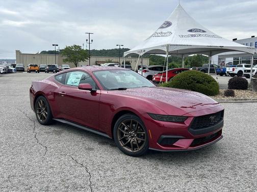 Molten Magenta Metallic Tinted Clearcoat 2026 Ford Mustang EcoBoost Premium