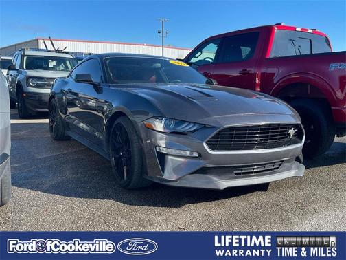 2019 Ford Mustang GT Premium