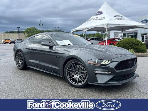 Magnetic Metallic 2019 Ford Mustang GT Premium