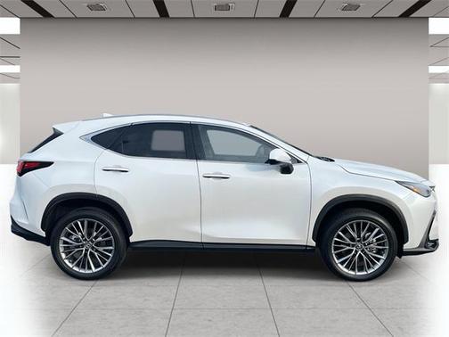 2025 Lexus NX 350h Premium