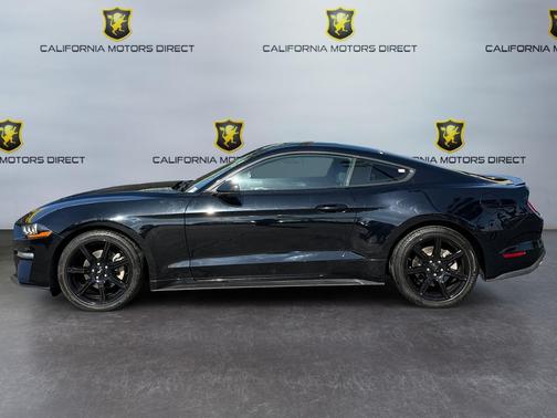 2019 Ford Mustang EcoBoost