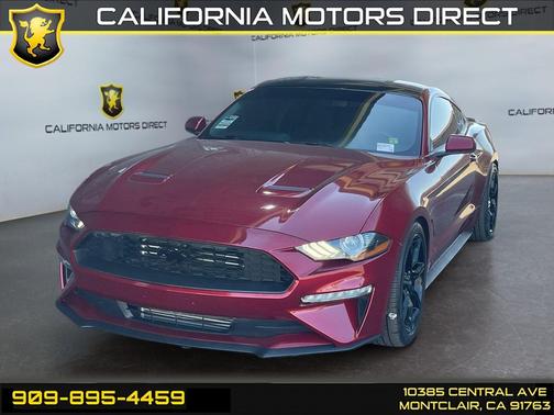 Ruby Red Metallic Tinted Clearcoat 2019 Ford Mustang EcoBoost