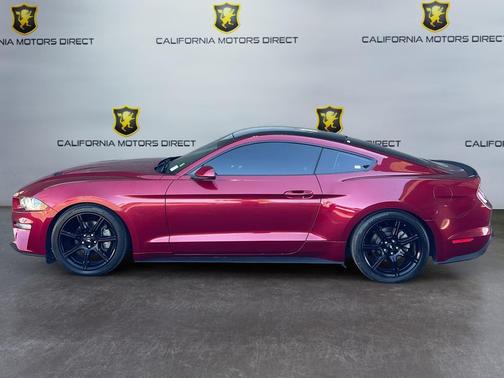 Ruby Red Metallic Tinted Clearcoat 2019 Ford Mustang EcoBoost
