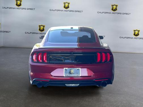 Ruby Red Metallic Tinted Clearcoat 2019 Ford Mustang EcoBoost
